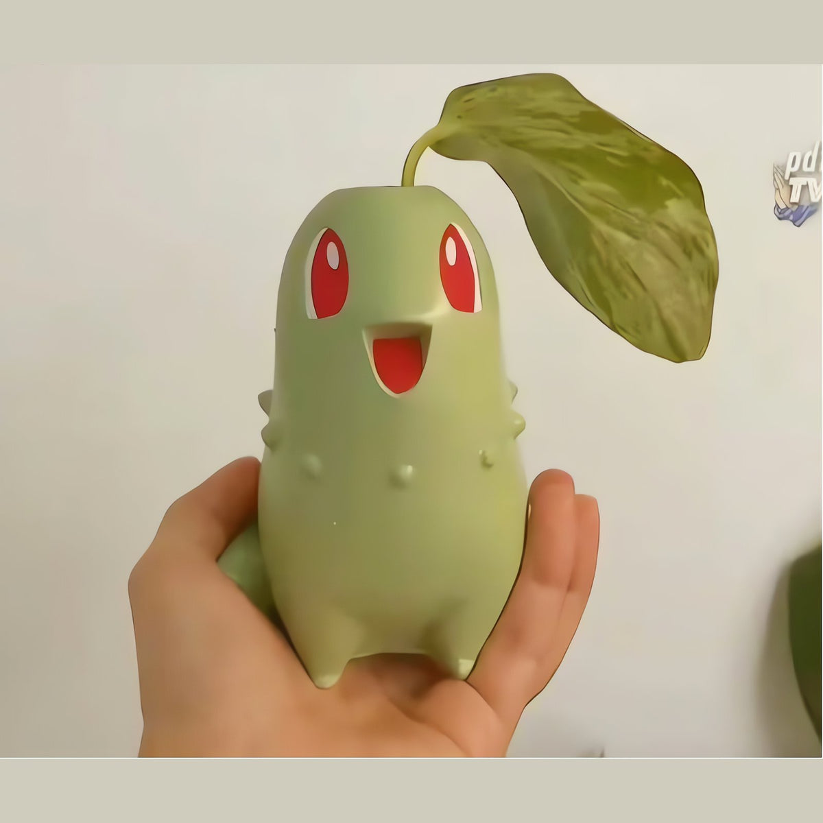 Chikorita plant pot – photo 4