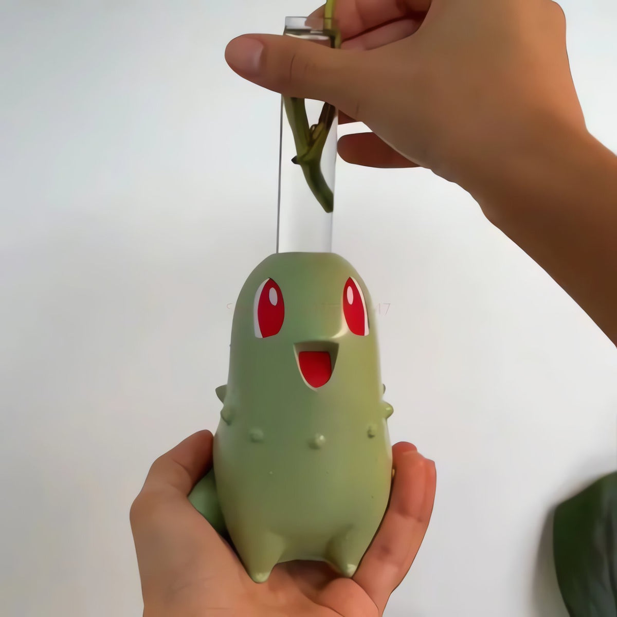 Chikorita plant pot – photo 2