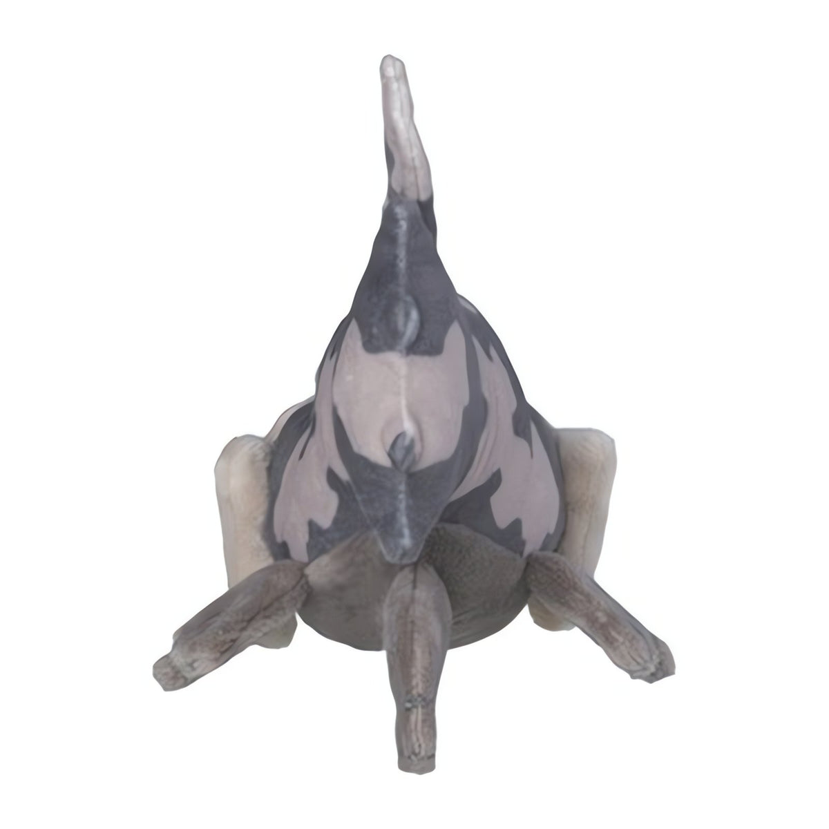 Relicanth plush toy, 15cm – photo 3